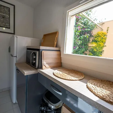 Mazet 6 A 7 Pers Piscine Tahiti Park Ле-Лаванду