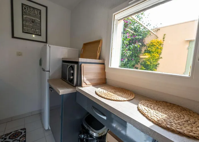 Mazet 6 A 7 Pers Piscine Tahiti Park Le Lavandou