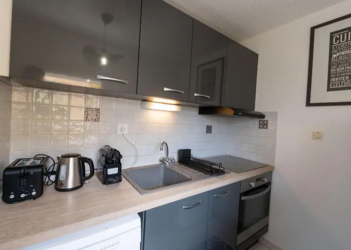 Mazet 6 A 7 Pers Piscine Tahiti Park *